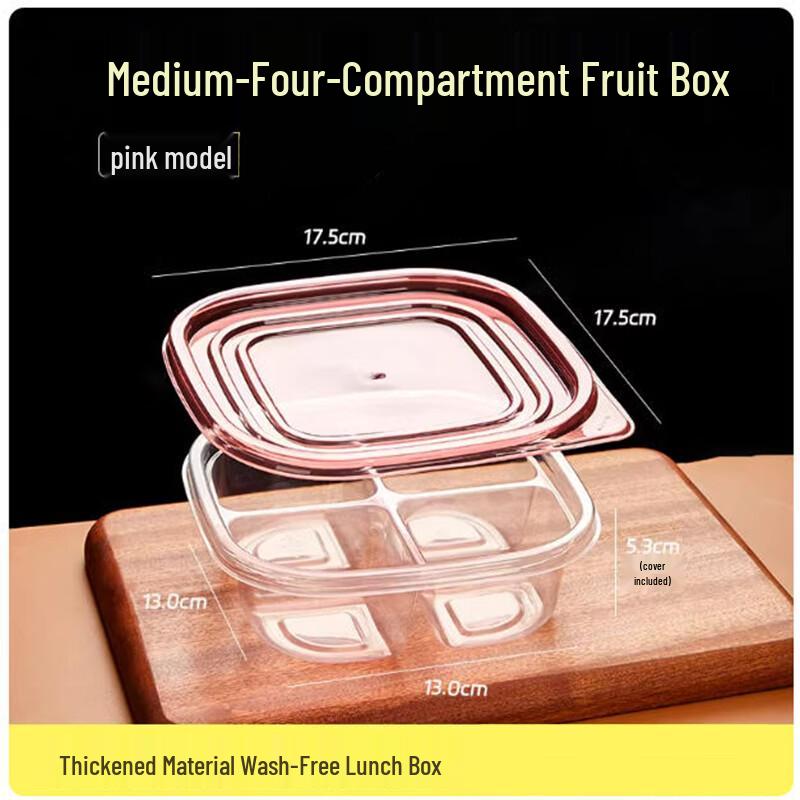Sanbile Divided Disposable Fruit Lunch Box