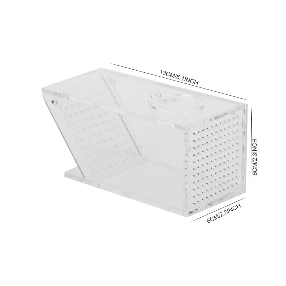 Transparent Fish Tank Trap Acrylic One Way Trap Durable Shrimp Catcher Reptile Terrarium
