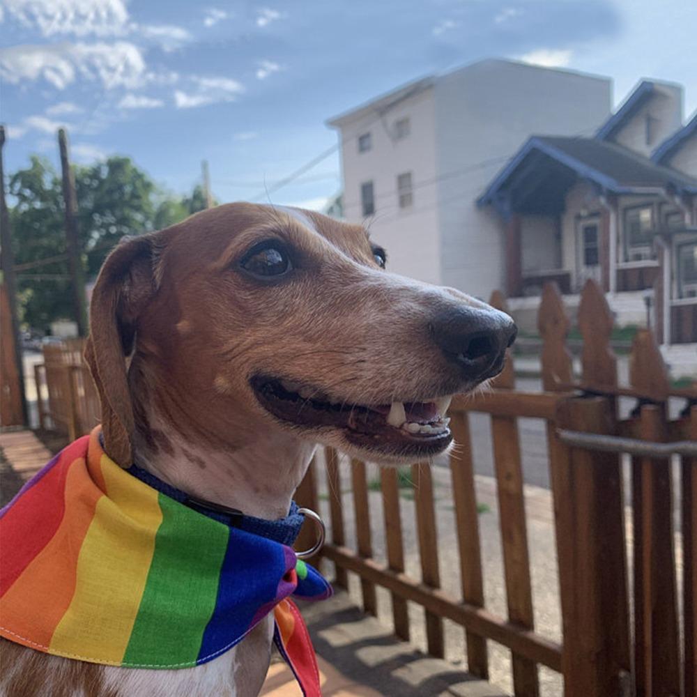 Coloured Rainbow Hair Tie Hair Hoop Fashion Dog Bandanas Scarf Hair Decoration Pride Day Pet Handkerchief For Pride Month