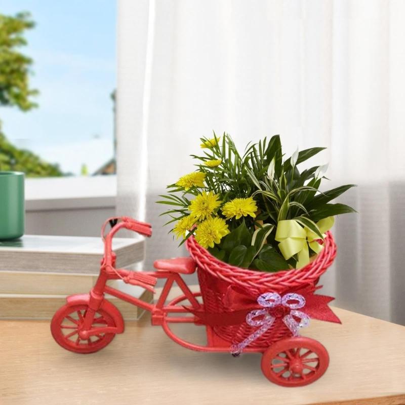 Bicycles Woven Basket Versatiles Rattans Bike Mounted Planter For Indoor Outdoor Flower Arrangements