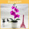 Simulated Four Flower Phalaenopsis Artificial Green Plant Potted Decor Indoor