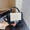 Spring high-end texture small bag trendy women's bag popular shoulder messenger bag fashionable portable small square bag