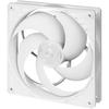 ARCTIC P14 PWM - Ventilateur Boîtier 140mm, Contrôle PWM, Blanc