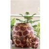 Red and Blue Floral Print Design Copper Water Dispenser Pot Matka, Storage, Home Garden, 13 liter