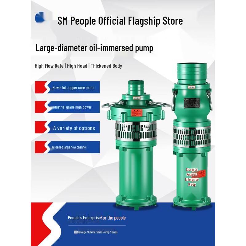 High-Lift 380V Oil-Immersed Submersible Pump for Irrigation