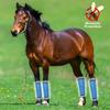 4 Pcs Professional Horse Fly Boots, Breathable Mesh Leg Wraps with Non-Slip Straps, for Pasture & Stable Protection