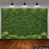 2D Minimalist Green Plant Wall White Tiny Bloom Photo Background