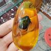 1Pc Insects Amber Gemstone Scorpion Natural Mineral Home Decor Insects Amber Gemstone Diy Hand Crafts Gift