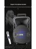 12" Portable Bluetooth Speaker with High-Power Battery for Outdoor Events & Dance Promotions