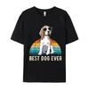Man Clothing Beagles Throw Blanket TShirt Normal Cotton Mens Tops T Shirt Wholesale Tshirts 100 Pcs Printed On