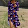 Long  Sleeve Dress For Women Casual Loose Fit Print Dress With Pockets