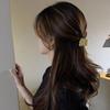 Elegant Sweet Zinc Zinc Alloy Korean Girls Female Metal Hair Claw Hair Clip Grasping Clip Hair Accessories