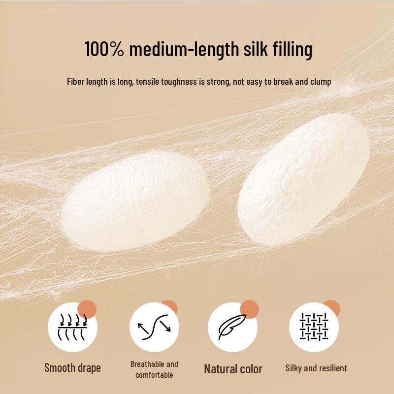 BEYOND HOME TEXTILE All-Season 100% Tussah Silk Two-in-One Duvet