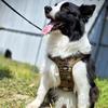 Heavy Duty Dog Harness No Pull Vest Dog Harness For Training Adjustable Collar For Medium Large Outdoor Rescue Hunting Tasks