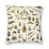 Insects Vintage Bug Chart Square Pillowcase Polyester Linen Velvet Printed Zip Decorative Sofa Cushion Cover