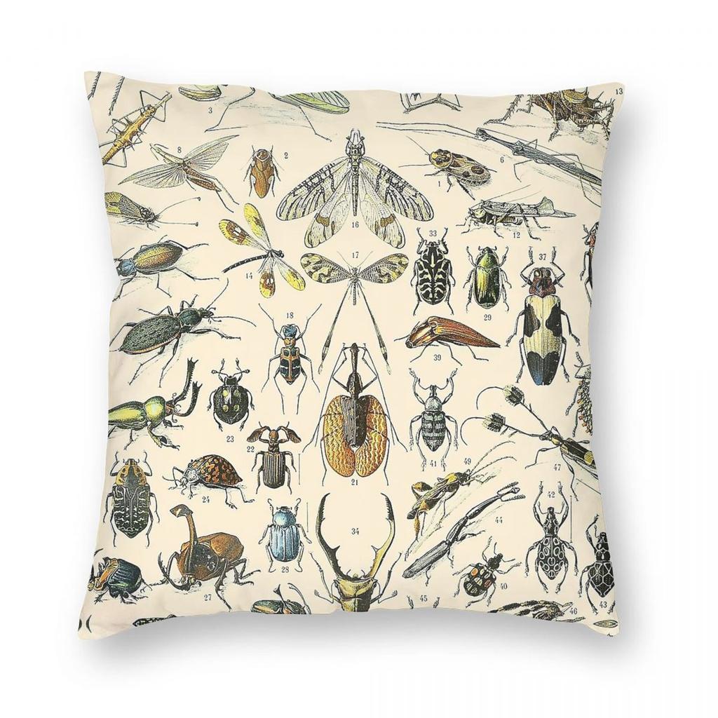 Insects Vintage Bug Chart Square Pillowcase Polyester Linen Velvet Printed Zip Decorative Sofa Cushion Cover
