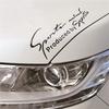 2Pcs Car Decal Sticker Racing Car Auto Reflective Car Vinyl Nick Cover