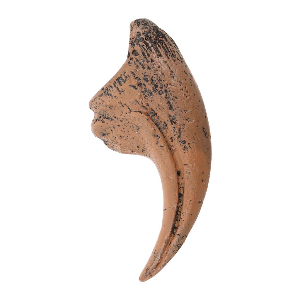 Realistische Resin Dinosaurierkralle Skulptur, Simulierte Tyrannosaurus Kralle Statue, Prähistorischer Tierknochen für Raum Party Dekoration