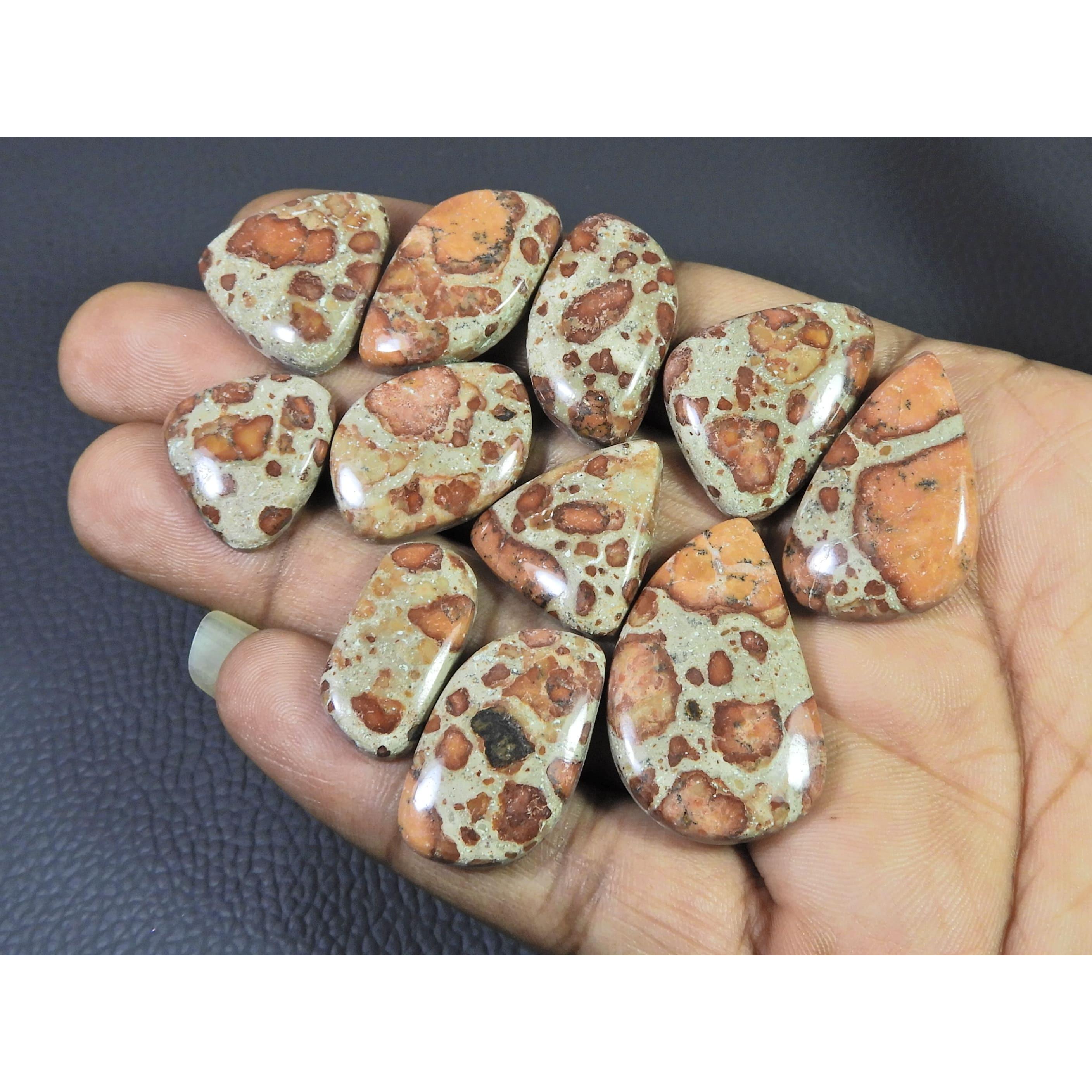 200Cts.Natural Asteroid Jasper Fancy Shape Cabochon Loose Gemstone 11Pcs Lot C-2443