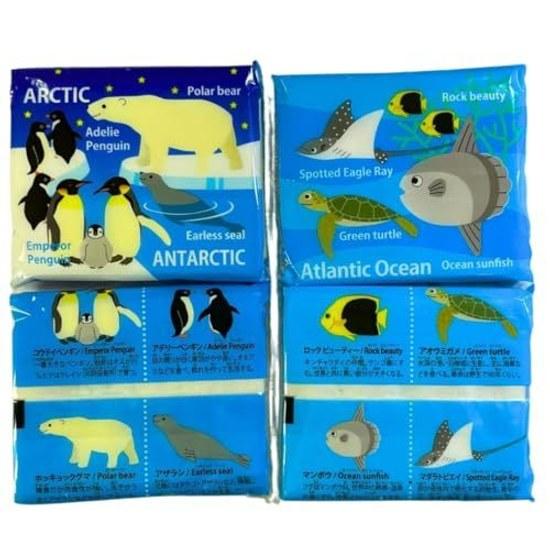 Bulk purchase childrens flushable pocket tissues 60-piece set cute animal pattern fish character-free educational can also be used studying English