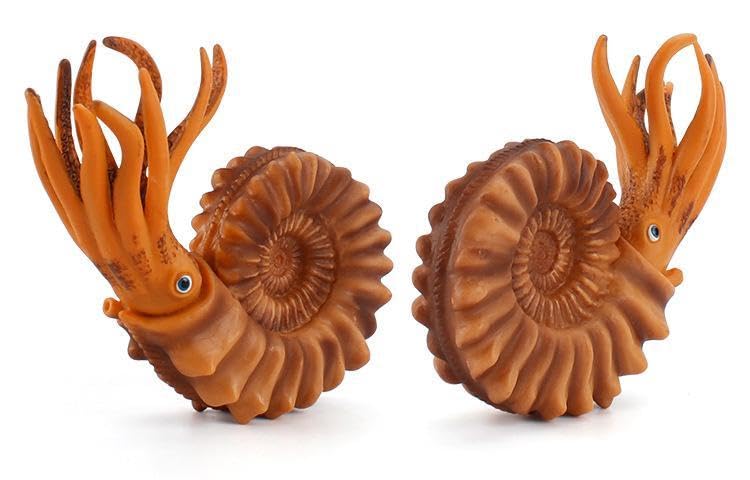 Nautilus Orange Ancient Creature Living Fossil Figure Model Miniature Ornament Interior Collector Model [Nekogamiyama]