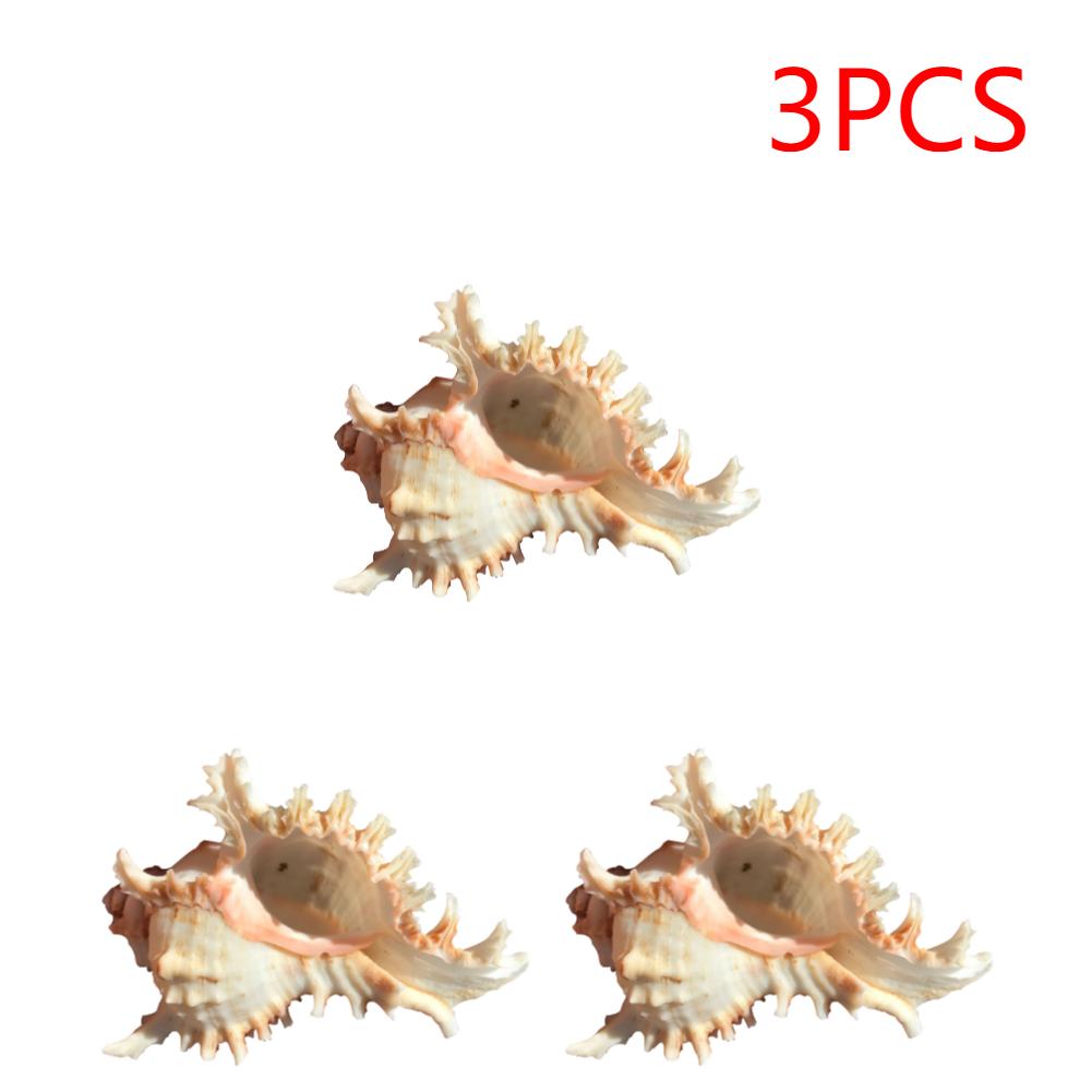 2/3/5PCS Sea Shell Plant Pot 4.7 Inch Natural Conch Air Plant Holder Seashell Decor Planter Flower Container Art Craft for Home