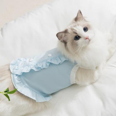 Katzen – Kleidung für Katzen