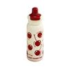 620ml Capacity Vacuum Insulated Water Bottle High-Capacity Straw Travel Cup  Student