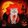 Stand-collar Halloween Pet Costume Adjustable Kitten Puppy Dress Creative Cat Cosplay Cloak  Party