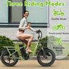 La PHILODO T1 è una bicicletta elettrica multifunzionale con una velocità massima di 25 km/h e una batteria da 48V 20Ah.