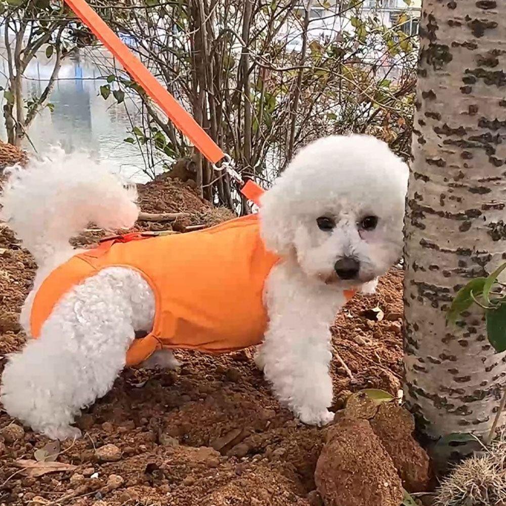 

Adjustable Pet Hind Leg Support Strap Thicken Handle Dog Lift Harness Walking Dog M