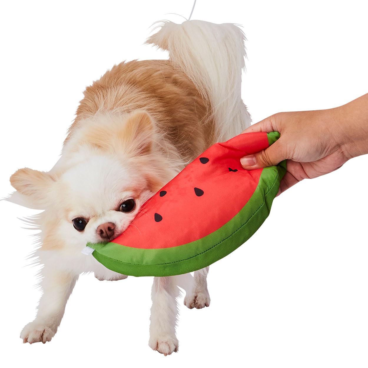 

Petio Cool Plush Toy for Watermelon Dogs,
