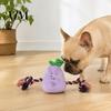 Durable Cotton Rope Toy Stuffed Vegetable Dog Toy, Interactive Squeaky Chew Plush Carrot Eggplant Aggressive Chewer Green Pepper with Arm for