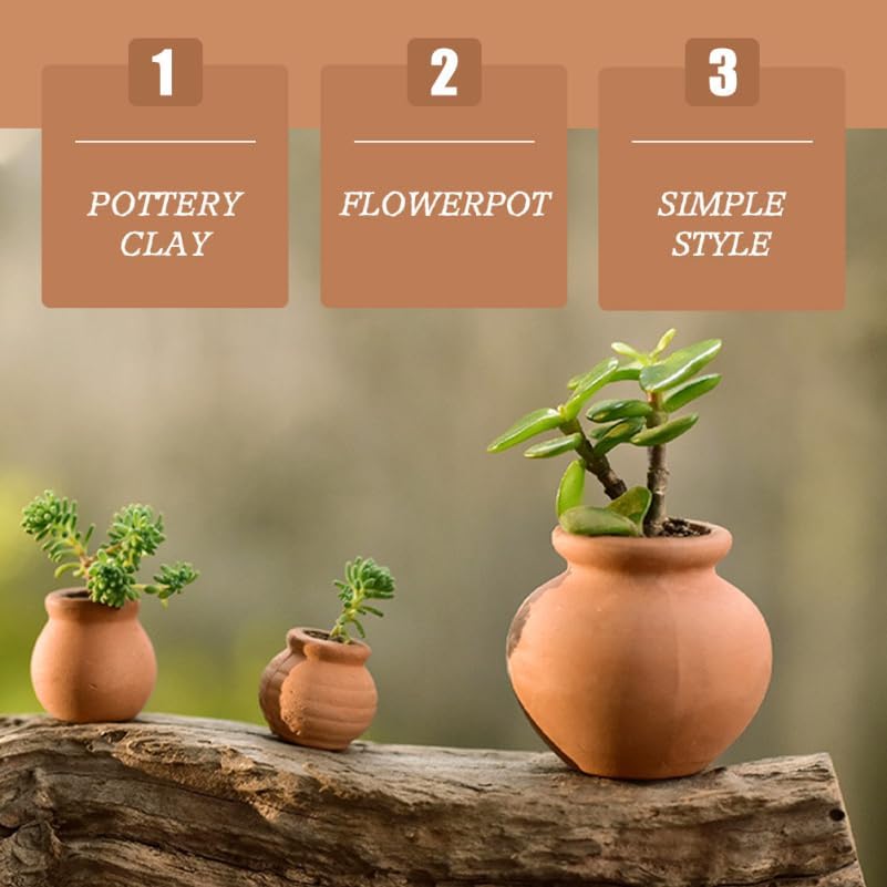HANABASS 12 Pcs Mini Terracotta Pots 1.5 Inch Small Succulent Clay Pots for Plants Ideal for Home Decor, Craft Projects, and Party Favors, Desktop