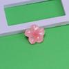 Plumeria Cartoon Resin DIY Accessory Parts for Handmade Crafts