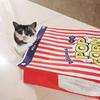 PopcornBag Cat Tent Toy PlayTunnel Tent House Dogs Kraft Paper Bag Hideaway Tunner Boredom Pet Indoor Entertainment Toy