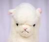 Takeoff Plush Toy - Sunny Farm Alpaca - Ivory