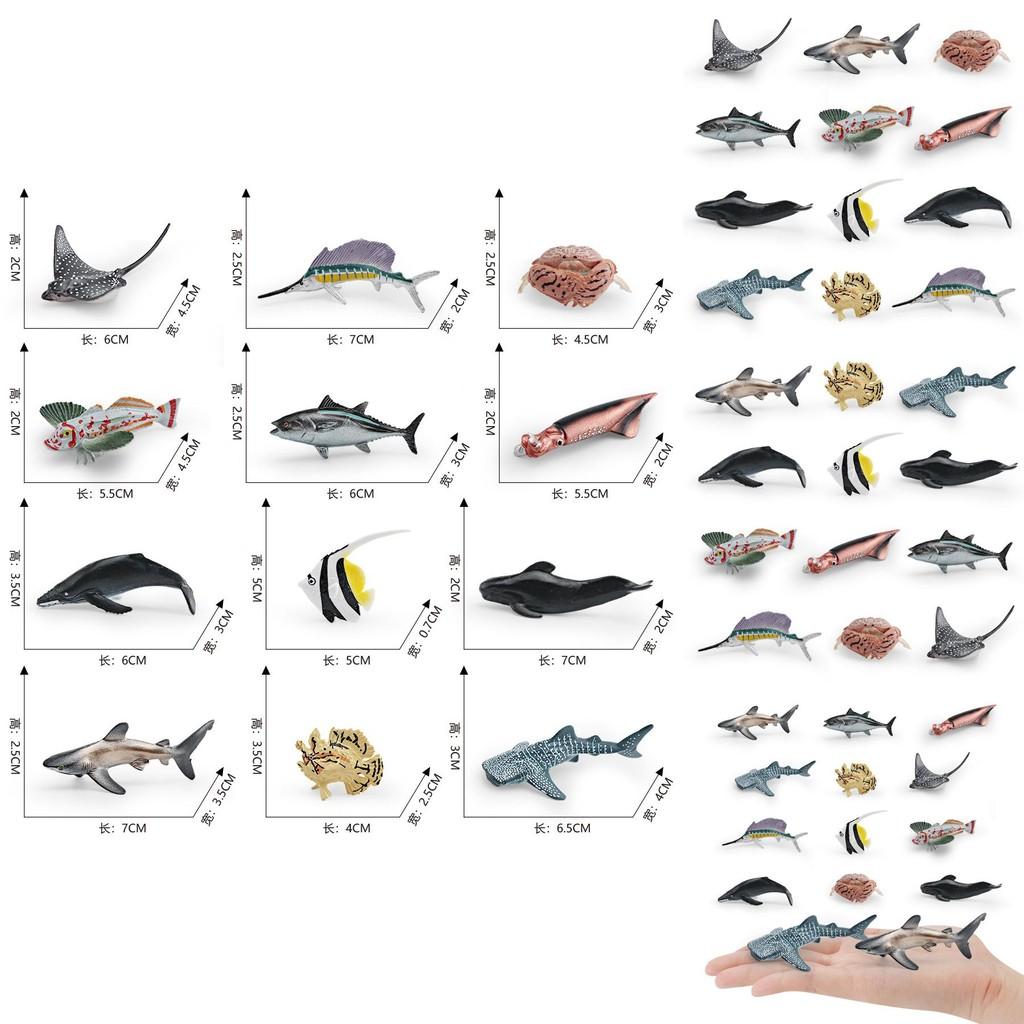 Simulated Deep Sea Ray Crab Squid Killer Whale Shark Model Desktop Ornament Set For Childrens Educational Playroom Decor