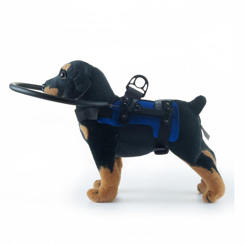 Sicherheitskragen-Schutz für blinde Hunde, kleiner bis mittlerer Rassen, Kollisionsschutzring, Visuelle Hilfsmittel-Zubehör