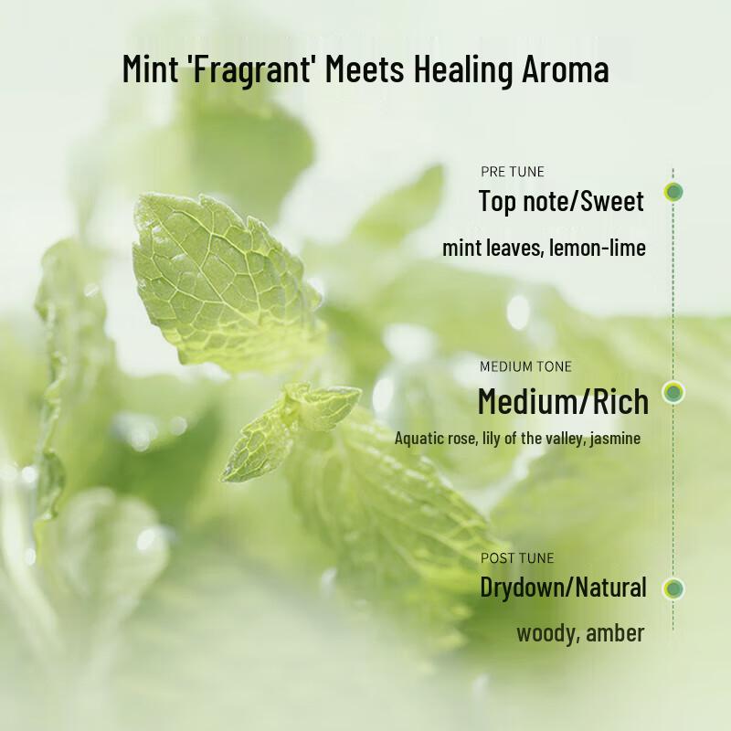 CLAYNAL Oil Control & Anti-Itch Mint Shampoo