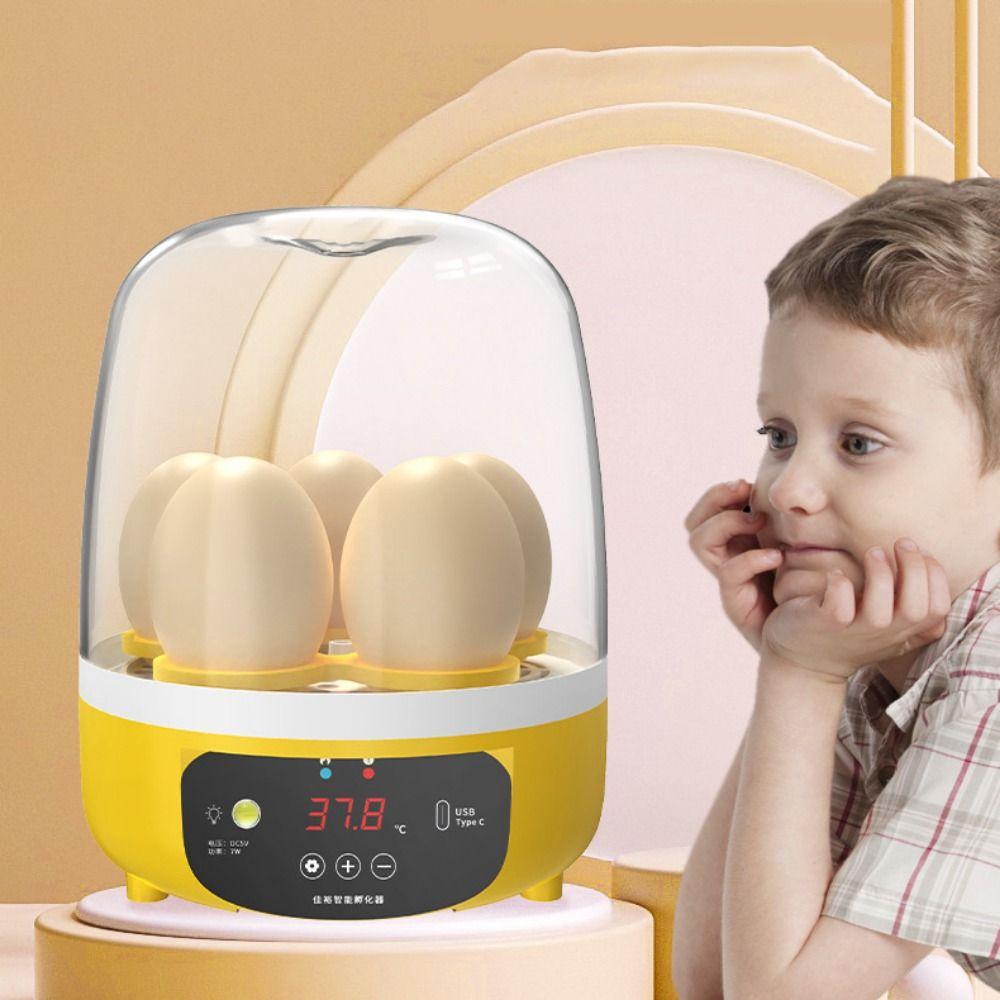 Электрический инкубатор на 4 яйца, ручной/автоматический инкубатор для птицы, USB-инкубатор для яиц, домашний инкубатор