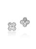 Macier Clover Earrings