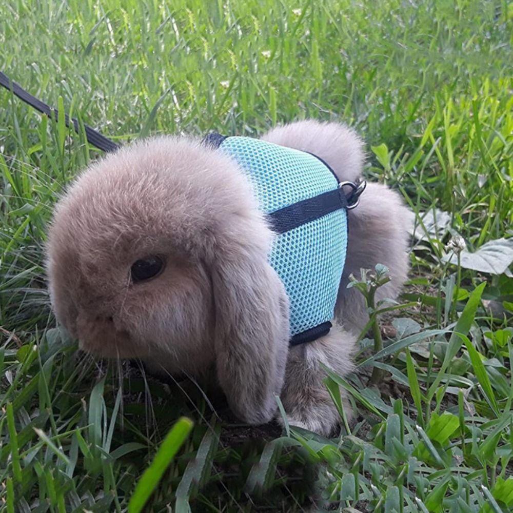 

Mutil-Colors Pet Harness Дышащий нагрудный ремень для питомца Шлейка и поводок для кроликов Хорьки S розовый