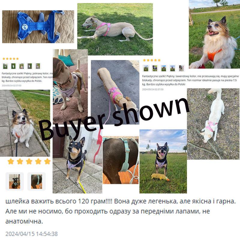 Zestaw Szelki do Spacerów z Smyczami dla Psa Zwierzęcia Kota Prezenty Kamizelka dla Psów Małych Średnich Dużych Zestaw Lin Trening Outdoorowy Artykuły dla Zwierząt