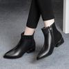 Ankle Boots for Women 2025 Autumn and Winter New Large Size Thick Heel Short Boots Women's Pointed Side Zipper Fashion Boots