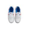 Nike Court Borough Low White Blue Red GS DM2420-164