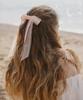 Ice Garden A.508 Sheer Bow Hair-Pin