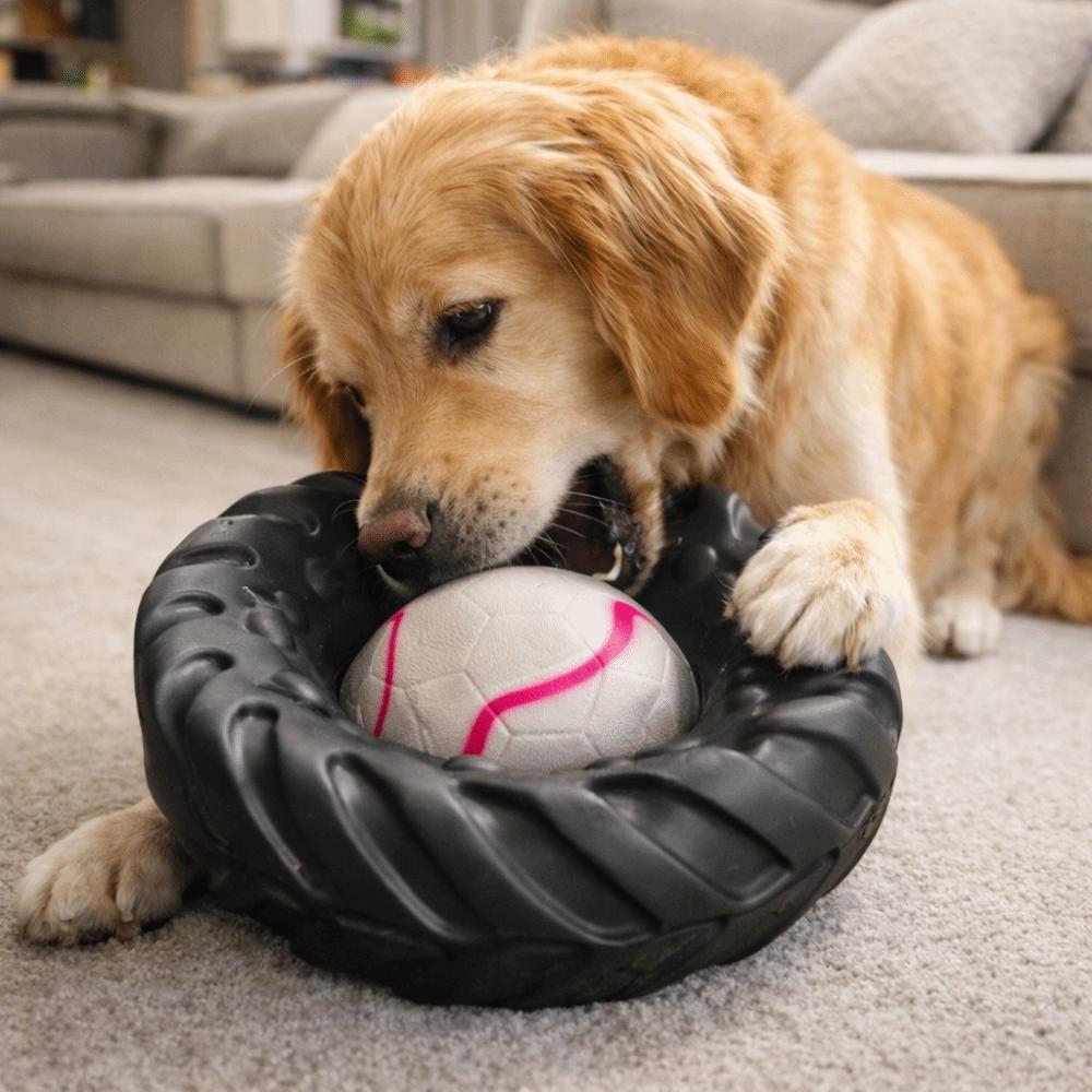 Chew-Resistant Tire-Shaped Dog Toy Elasticity Dog Chew Wheel Toy Molar Toys Indoor Play