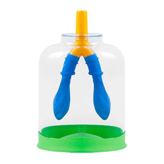 Lung Breathing Function Demonstration Model 3D Human Lung Breathing Simulation Device School Students Educational Scientific Experiments Teaching Aid