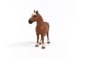 Schleich Farm World Belgian Draft Ages Realistic Farm Animal Toy 13941 Figure, 3+,